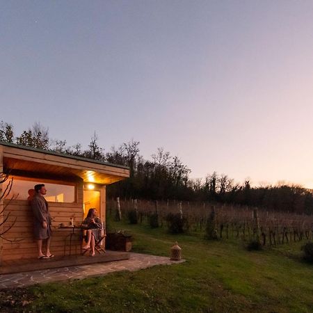 Teolo Agriturismo Terre Bianche מראה חיצוני תמונה