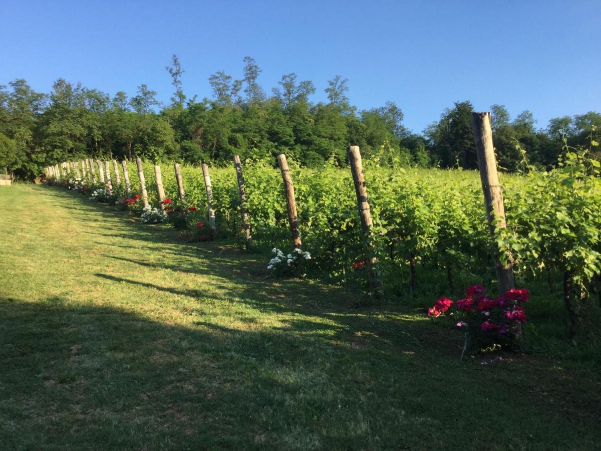 Teolo Agriturismo Terre Bianche מראה חיצוני תמונה