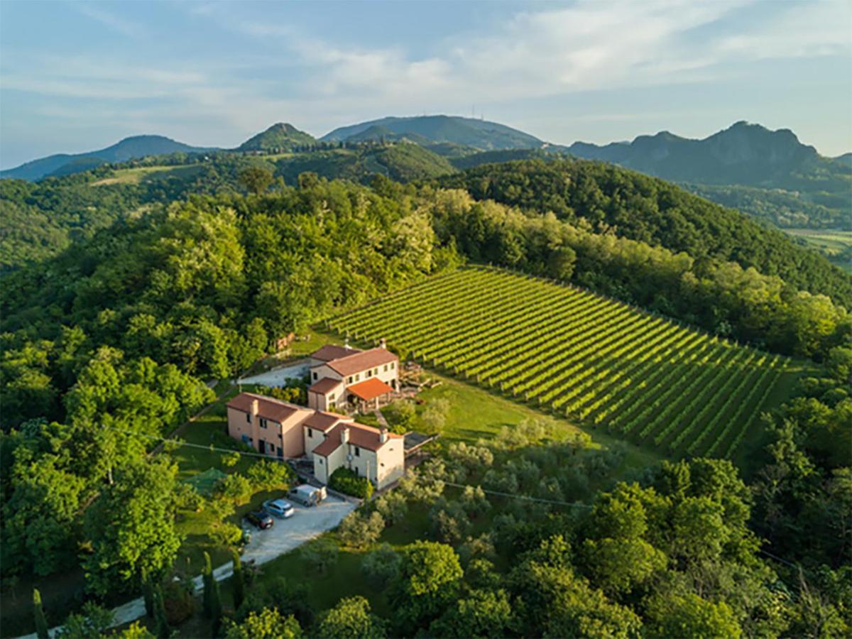 Teolo Agriturismo Terre Bianche מראה חיצוני תמונה