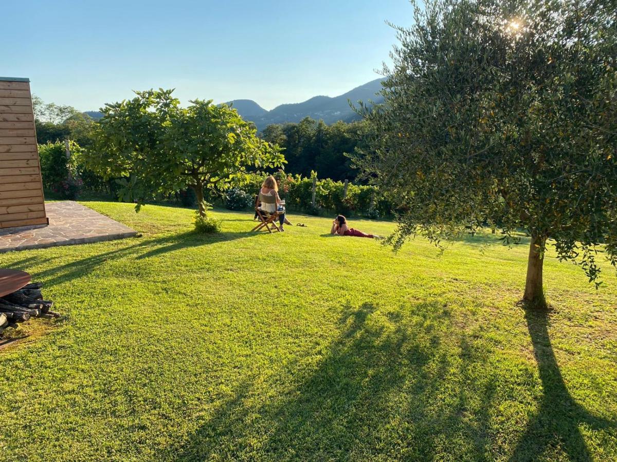 Teolo Agriturismo Terre Bianche מראה חיצוני תמונה