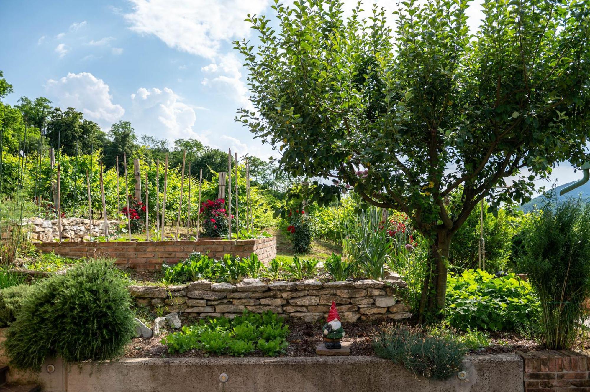 Teolo Agriturismo Terre Bianche מראה חיצוני תמונה