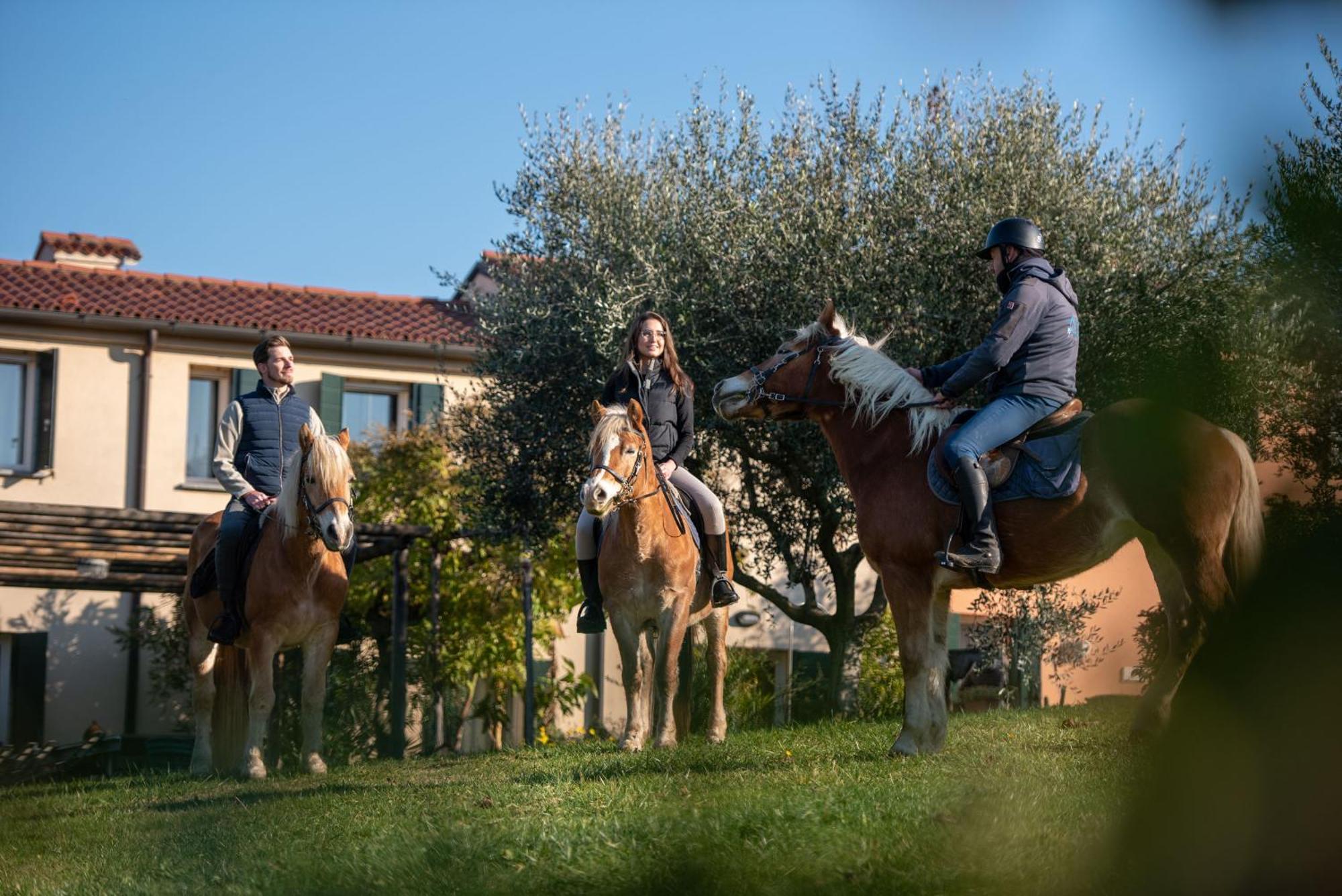 Teolo Agriturismo Terre Bianche מראה חיצוני תמונה