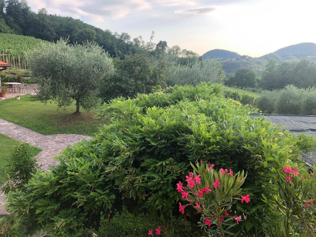 Teolo Agriturismo Terre Bianche מראה חיצוני תמונה